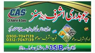 مکئی ریٹ گندم کے ریٹ غلہ منڈی عارِف والا maki rate maize rate today galla mandi Punjab Pakistan
