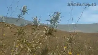 Крым. Кояшское озеро. Гора Опук.