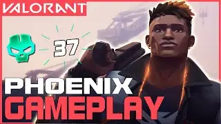 Phoenix 37 Kill Highlights | Ascent