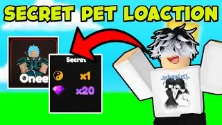 *NEW SECRET PET LOCATION* In Anime Star Simulator | New Update