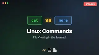 Linux Terminal: cat vs more Command | Complete Beginner Tutorial