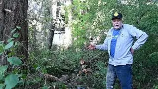 Vintage McCulloch Chainsaws Cutting Up Blowdown Tree