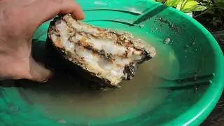 BIG MONEY!  RARE PYRRHOTITE CRYSTALS FOUND