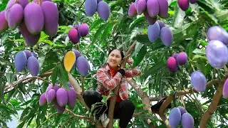 2 year living in forest, Harvesting mango and goes to the market sell | Emma Daily Life