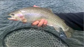 Yakima River Fly Fishing Report-April 19th, 2024-Worley Bugger Fly Co.