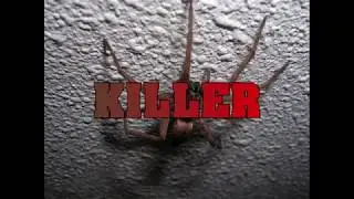 KILLER