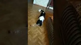 Бутылка - враг😁