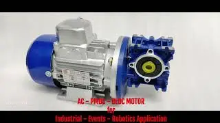 AC DC BLDC Worm Gear motors for Industrial and Robotics Application