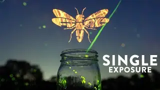 Light Painting with Fire & Fireflies