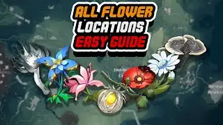 Wuthering Waves All Ascension Materials Location