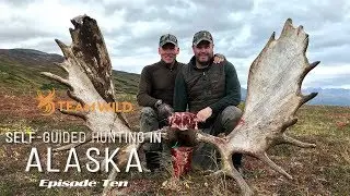 Self-guided Moose & Caribou Hunting in Alaska: Episode 10 - Butchering and Packing Out a Bull Moose