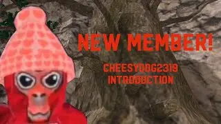 My introduction to the Faction of the Monk!