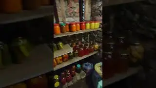 а как у вас дела? #деревня #картошка #subscribe #лпх #урожай2023 #shorts #россия  #перезимуем