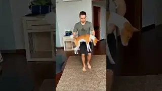 Литвин ТРЮК С СОБАКОЙ☠️🔥 