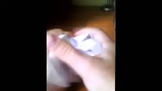 Фокус#1