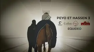 Peyo, cheval de coeur 3ème partie