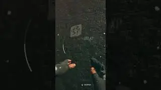 Body Scan Easter Egg Challenge ( MP5 Blueprint) 