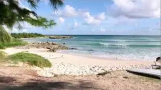 Zed's Surfing Adventures - Surfers Point, Barbados