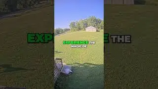 🪄The Magic of a Flawlessly Manicured Lawn