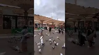 Madina beautiful place on earth