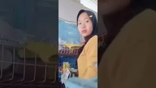 CEWEK JAGA WARUNG | PEMERSATU BANGSA