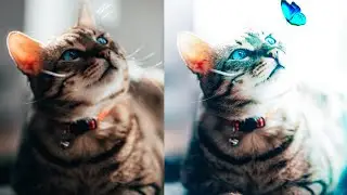 Picsart Glowing effect / PicsArt edit