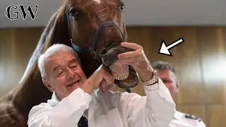 Live horses join veterinary students for anatomy lecture in Hungary