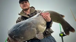 Giant blue catfish come to play! #fishing #funny #2024