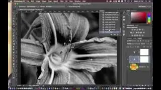 Black & White Adjustment Layer Tutorial