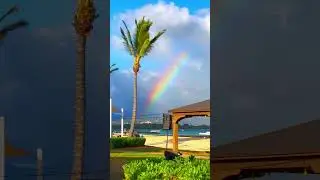 🌈🌴🌊