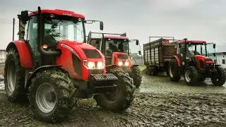 MOKRA Kiszonka 2020!✔w RSP Sadki z Firmą NOWAK✔7 Odwozów!🔥3xZetor/2xNH/2xClaas/CaseUrsus