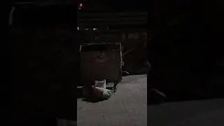 собака вылазит из мусорного бака, ржач