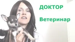 Asmr Veterinary doctor