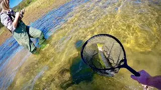 Land-based Trout Fishing | BROWN Town
