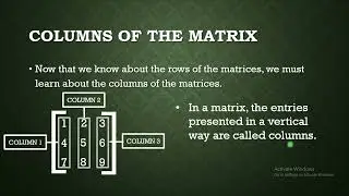 Grade 9: MATRICES (Rows, columns, order and recognition) (In Urdu/Hindi)