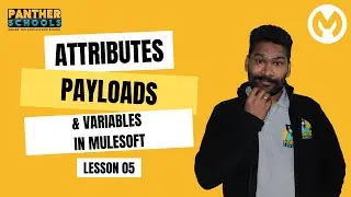 Ep5: how to access message attributes, payload and variables in @mulesoftvids with @sfdcpanther