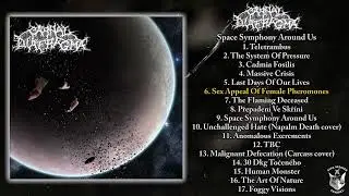 Carnal Diafragma - Space Symphony Around Us FULL ALBUM (2006 - Goregrind)
