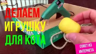Делаем игрушку для кошки
