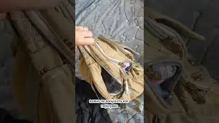 ПЕРЕВОЗИ КОТА В МАШИНЕ ПРАВИЛЬНО! 