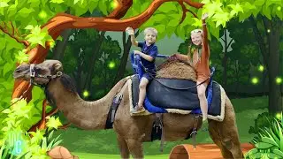 Safari Adventure! Meet the Wild Animals Up Close With Us!