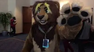 FurSquared 2017