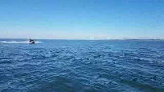 Seadoo Gti 800cc  Jetski