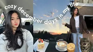 cozy productive december days 🏡 | new vlog camera, met my twin, haircut