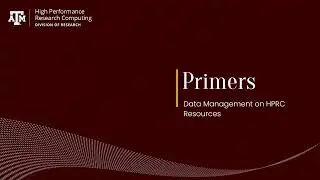 Primer Spring 2024 Data Management