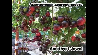 АМЕТИСТОВАЯ ДРАГОЦЕННОСТЬ