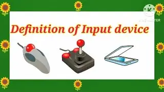 Definition of Input device with example