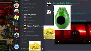avacado star