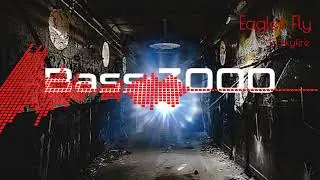 Dj skyfire- Eagles Fly #eagles #music #djskyfire #djsong #djsky #viralmusic #viral #musicgenre #edm