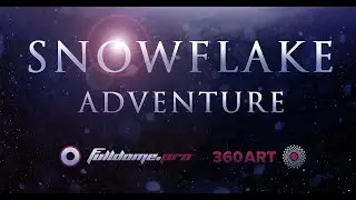 The Snowflake Adventure