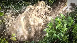 Cuándo llueve en la Montaña palentina.